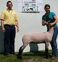 Shroyer Winner